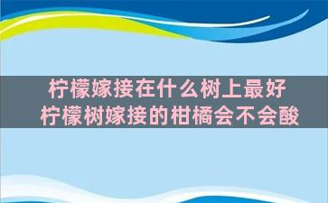 柠檬嫁接在什么树上最好 柠檬树嫁接的柑橘会不会酸